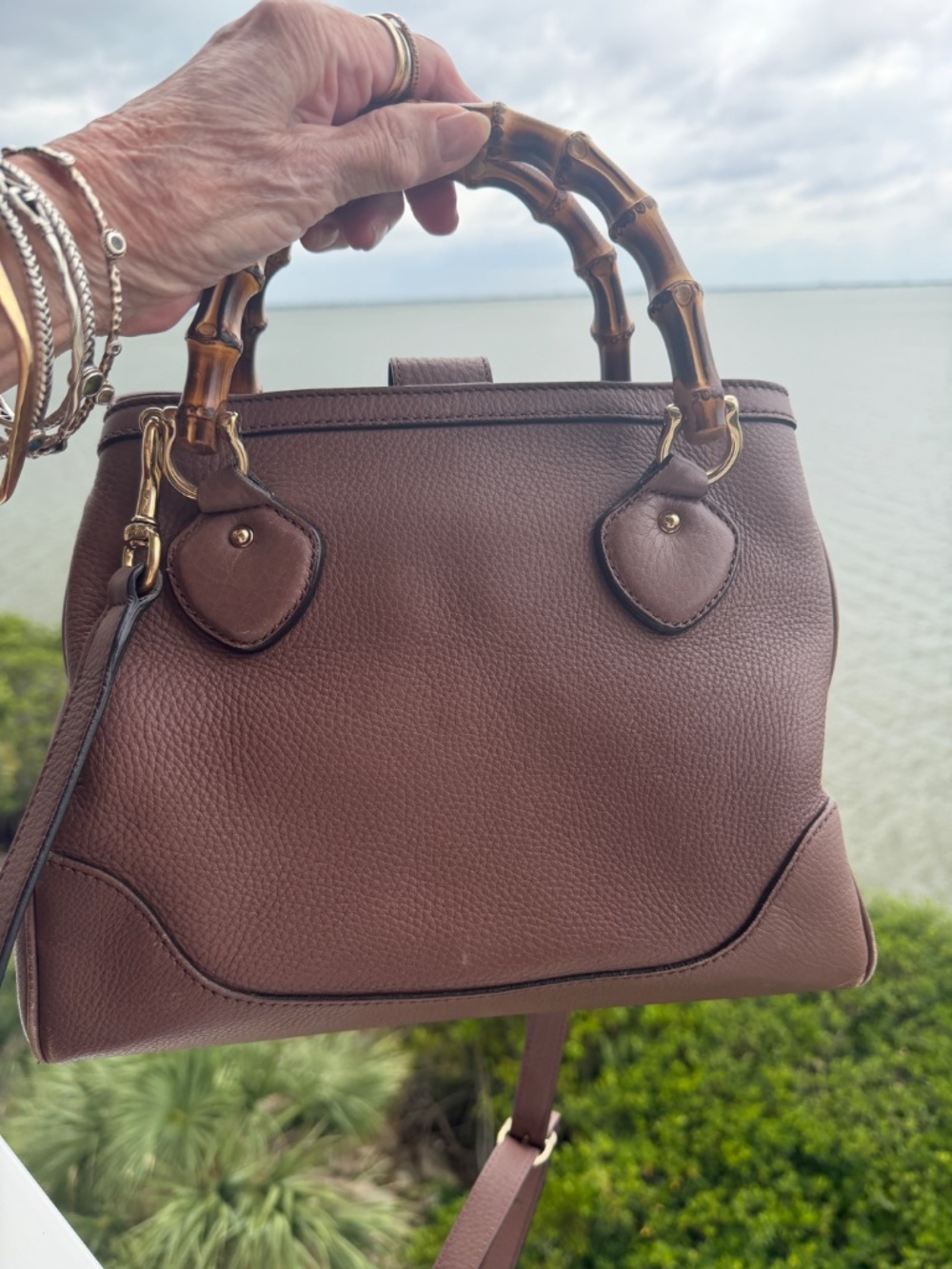 Gucci Diana bamboo top handle crossbody Mauve leather satchel/tote 308360/520931